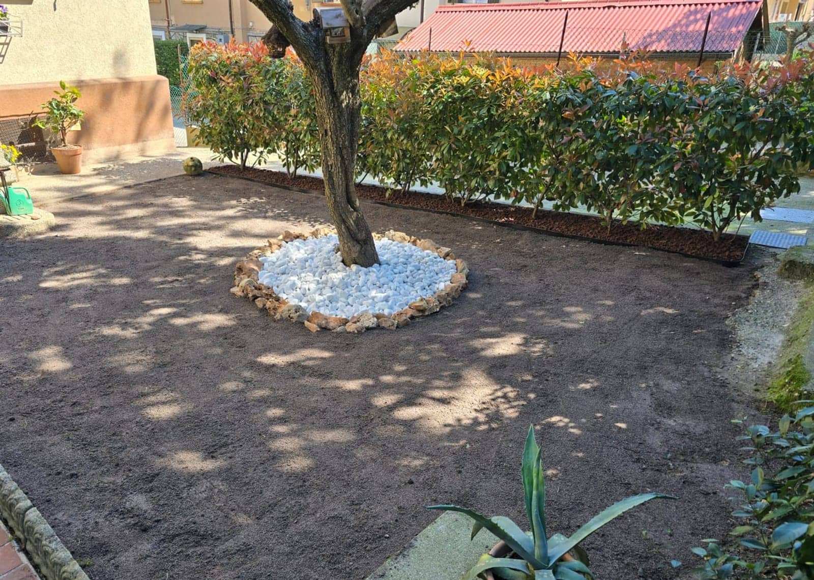 Giardino livellato con ciottoli attorno all'albero