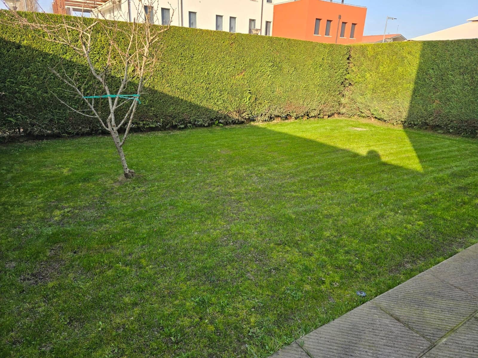 Dopo: prato nuovo, verde e uniforme