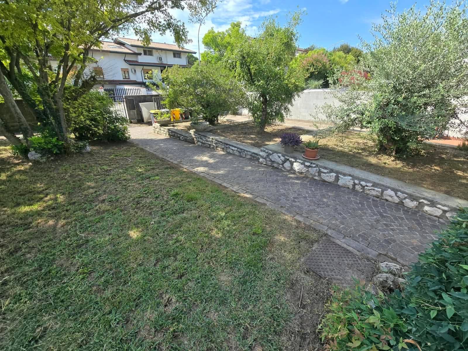 Prato tagliato lungo un vialetto in porfido